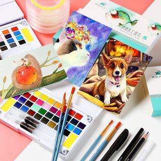 Bán Sỉ Bộ Màu Nước Solid Water Color Cao Cấp 12/18/24/36 Màu Tặng 2 Bút Nước, 2 Mút, 1 Palette