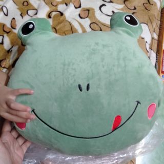 Set chăn gối 2 trong 1
