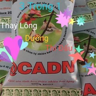 Hạt cào cào non. Dành cho chim cảnh