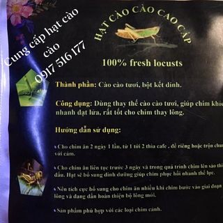 Hạt cào cào non. Dành cho chim cảnh