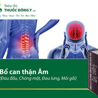 Viên uống Lục Vị Công Đức - Bổ can thận Âm (Đau đầu, chóng mặt, Đau lưng, mỏi gối...)