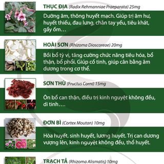 Viên uống Lục Vị Công Đức - Bổ can thận Âm (Đau đầu, chóng mặt, Đau lưng, mỏi gối...)
