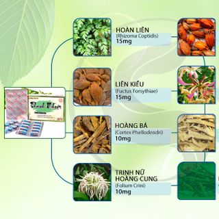 Viên Uống Thanh Nhiệt Công Đức - Giúp Thanh nhiệt, giải độc và tăng sức đề kháng