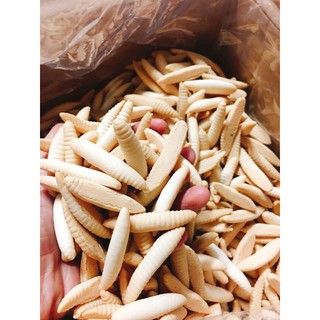 Bánh đuông dừa thơm ngon