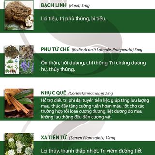 Viên uống Kim Quỹ Thận Khí Công Đức - Tăng cường chức năng sinh lý nam giới