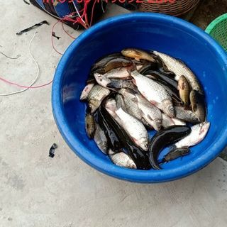 Biến tần samus 888m hàng mạch mỏng