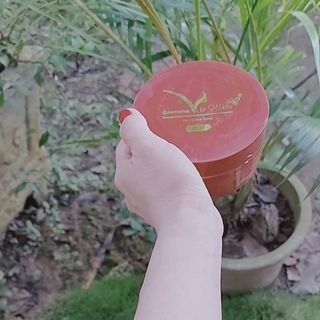 Body truyền trắng vip white