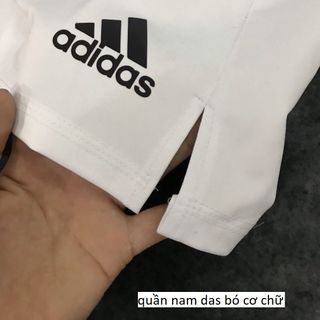 QUẦN BÓ CƠ PHỐI CHỮ