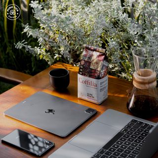 Cà phê hạt rang - Coffilia - Nhẹ nhàng Sơn La (loại 250g)