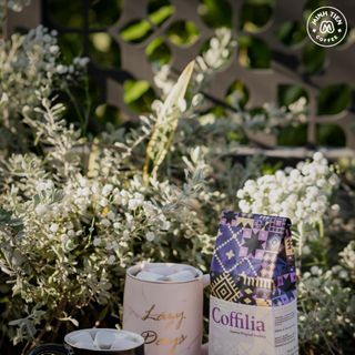 Cà phê hạt rang - Coffilia - Nhẹ nhàng Sơn La (loại 250g)