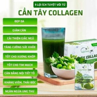 Cần Tây Collagen Thiên Nhiên Việt giá sỉ