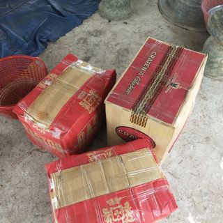 Nhãn Bắp Cải vụ cuối