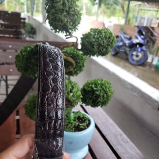 Thắt Lưng Da Cá Sấu Đang Viền