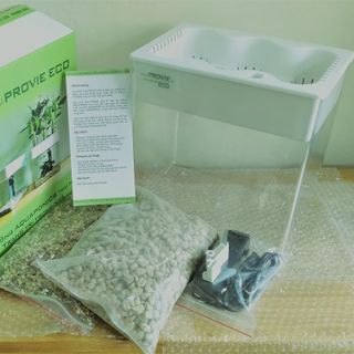 Hộp sinh thái Provie Eco (Mini Aquaponic, kết hợp cây và cá cộng sinh, để trang trí trong nhà)