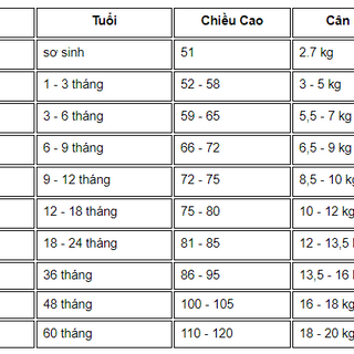 10 Quần Đùi Màu Trắng Cho Bé Sơ Sinh Từ 0 Đến 15 Tháng Tuổi