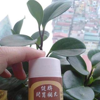 Tăng cân kiện tỳ hoàn