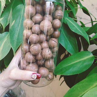 Hạt macca 500g
