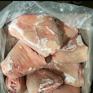 KHOANH BẮP HEO TRƯỚC VION - HÀ LAN