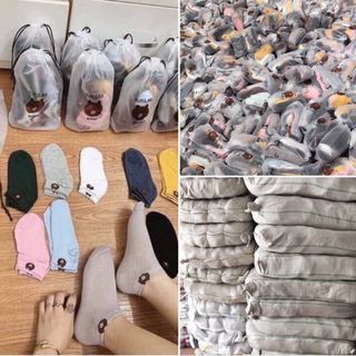 Tất gấu người lớn