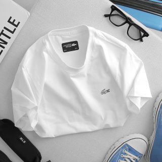 Áo Thun Cotton 100% 4c