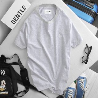 Áo Thun Cotton 100% 4c