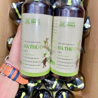 DẦU GỘI THẢO DƯỢC HÀ THỦ Ô 2 IN 1 - Hàng Thường