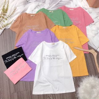 Áo xớ gỗ chữ
