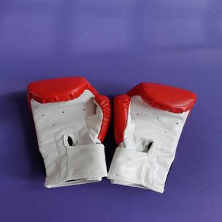 Găng tay boxing trẻ em Taeki