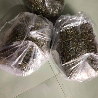 KHÔ CÁ CƠM