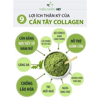 Cần tây Collagen Thiên Nhiên Việt giá sỉ