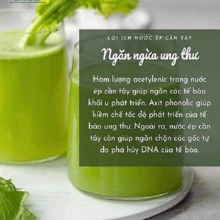 Cần tây Collagen Thiên Nhiên Việt