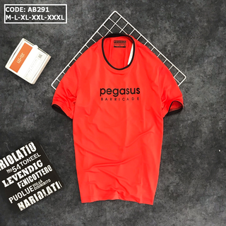 Áo thun nam cổ tròn in chữ PEGASUS