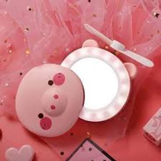 GƯƠNG CON HEO CÓ ĐÈN QUẠT - TPHCM