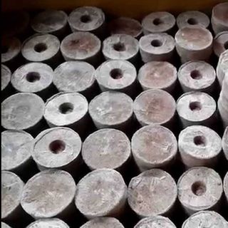 Thùng 1000 viên nén sơ dừa ươm hạt, tỉ lệ nãy nầm 97%