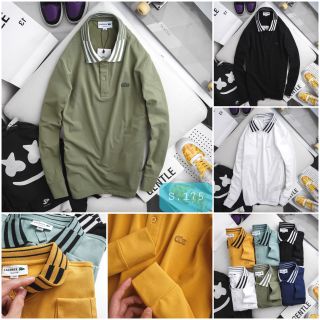 áo thun nam tay dài bo sọc cá sấu cotton 100%