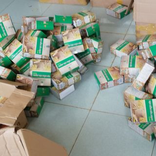 Kẹo mầm nở ngực gold - Thảo mộc 37