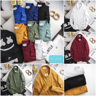 Áo thun nam cotton tay dài có cổ