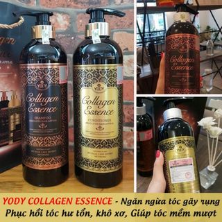 Cặp dầu gội xả Yody Collagen Essence (800ml x2) phục hồi và kích thích mọc tóc