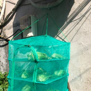 Lồng Phơi Khô 247 – Chống Côn Trùng, Phơi Nhanh Khô