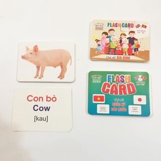 Thẻ học thông minh song ngữ 18 chủ đề