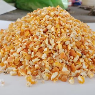 Bắp hạt bể mãnh (bắp gà)