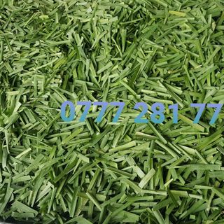 Bột lá hẹ nguyên chất
