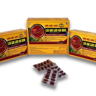 CÀ GAI LEO XẠ ĐEN – Giúp bổ gan, bảo vệ gan, thanh nhiệt, giải độc, nhuận gan, lợi mật (Hộp 60 Viên)