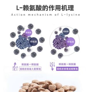 L-Lysine hỗ trợ đường hô hấp, tăng sức đề kháng cho mèo (Nourse 200v)
