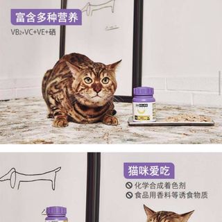 L-Lysine hỗ trợ đường hô hấp, tăng sức đề kháng cho mèo (Nourse 200v)