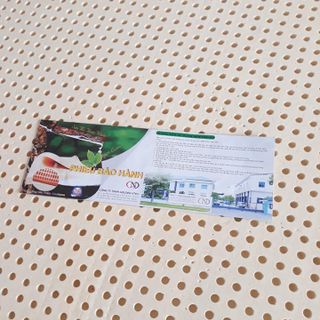 Nệm cao su thiên nhiên, 100% cao su thiên nhiên 1m6x2mx10cm