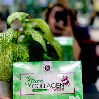 Diệp Lục Collagen (CH)