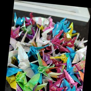 Hạc giấy đẹp hạc xếp sẵn đủ màu