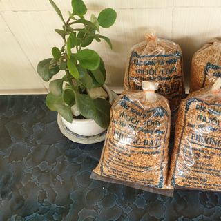 500 Gram Muối Tôm chính gốc Tây Ninh - Loại Thượng Hạng
