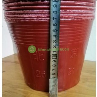 Chậu nhựa mềm (Bịch, Túi bầu) ươm cây 26x21, 1kg = 41 chậu 26x21 - Màu Đỏ
